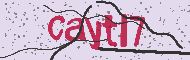 Kód CAPTCHA