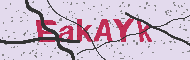 Kód CAPTCHA