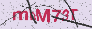 Kód CAPTCHA