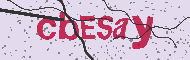 Kód CAPTCHA