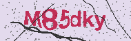 Kód CAPTCHA