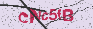 Kód CAPTCHA